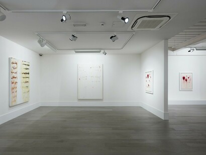 Azadeh Razaghdoost. Recipe for a Poem, Exhibition view. Courtesy of Sophia Contemporary Gallery