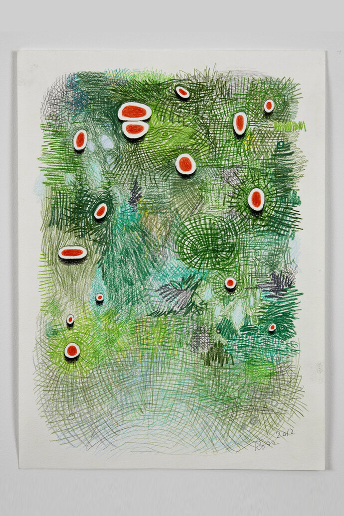 Alexander Ross, Untitled (Bog), 2012, colored pencil on paper, 15 x 11 inches