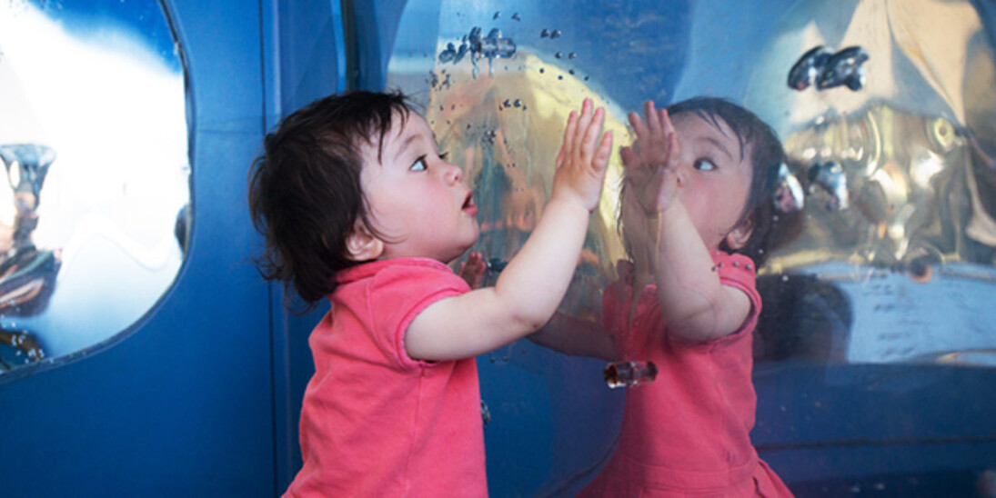 Tot Spot. Courtesy of Bay Area Discovery Museum 