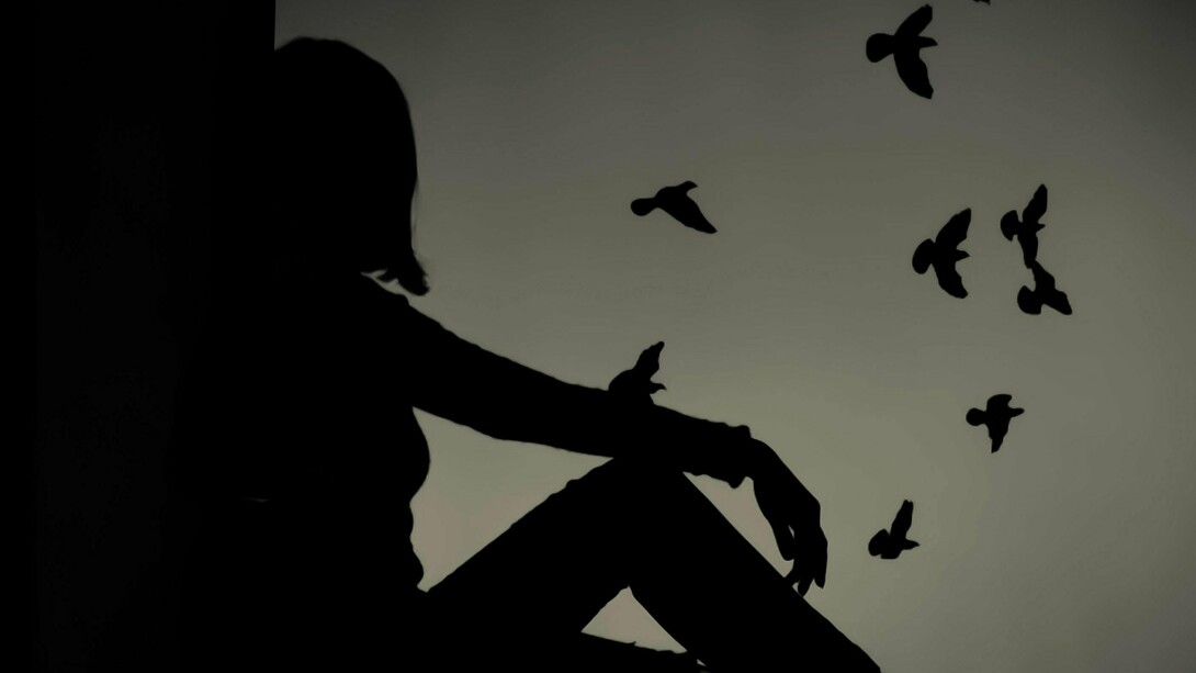Por incrível que pareça, poucos segundos depois, outra andorinha juntou-se a ela. Nosso coração de imediato nos convenceu de que era o casal se reencontrando. Voaram juntas, dando voltas, indo e vindo, se tocando, felizes por voltar a andorinhar. Estavam no céu