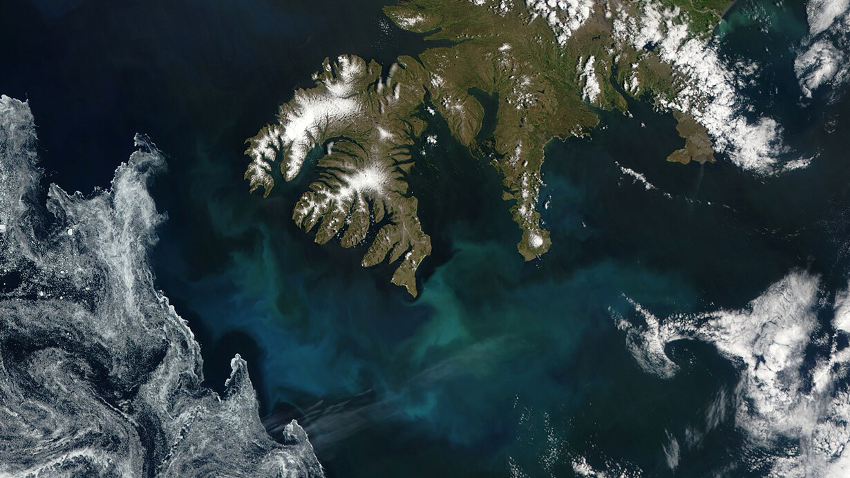 Floración de fitoplancton en el hemisferio norte vista desde el espacio (NASA)