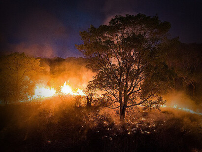 De acordo com dados do Sistema de Alerta de Desmatamento (SAD), que monitora a Amazônia desde 2008, já foram derrubados 3.360 km² de mata nativa