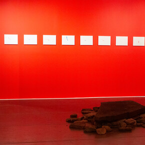 Ken Hiratsuka and Ken Hamazaki, Red rock, exhibition view. Courtesy of the Bishop Gallery