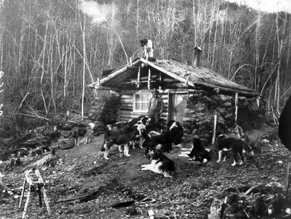 La casetta nella foresta