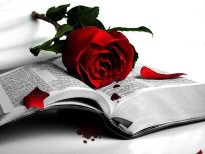 Amor y literatura