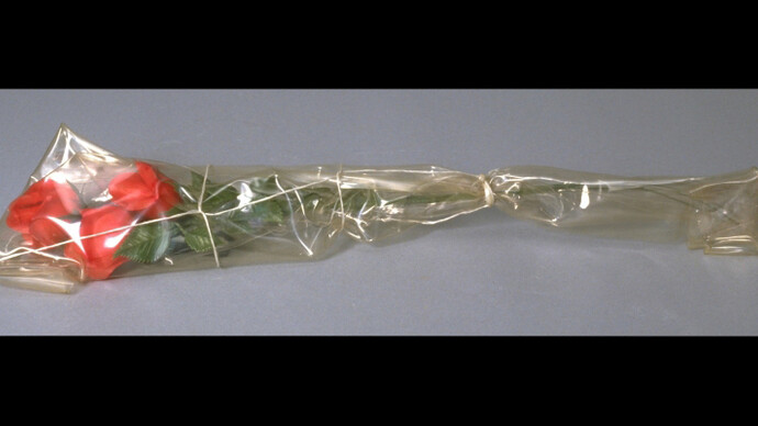 Collection Ensemble. Courtesy of UMMA