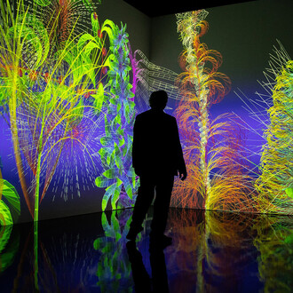 Miguel Chevalier, Extra natural. Generative and interactive virtual reality installation, exhibition Flowers Forever, Kunsthalle München, 2023. Courtesy of Kunsthal Rotterdam