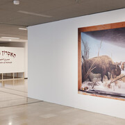 Various artists, Theatre of animals, exhibition view. Courtesy of Tel Aviv Museum of Art