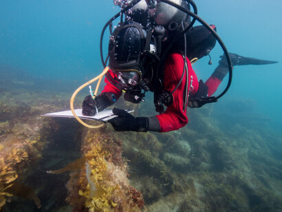 The Franklin Exploration. Courtesy of ROM