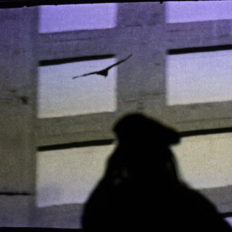 Luiz Roque, Geier, ausstellungsansicht. Mit freundlicher genehmigung der Pinacoteca