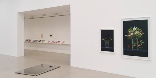 Martin Beck, Exhibition view. Courtesy of Mumok 