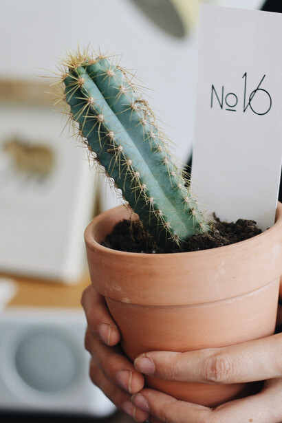  We don’t want to ruin relationships  
