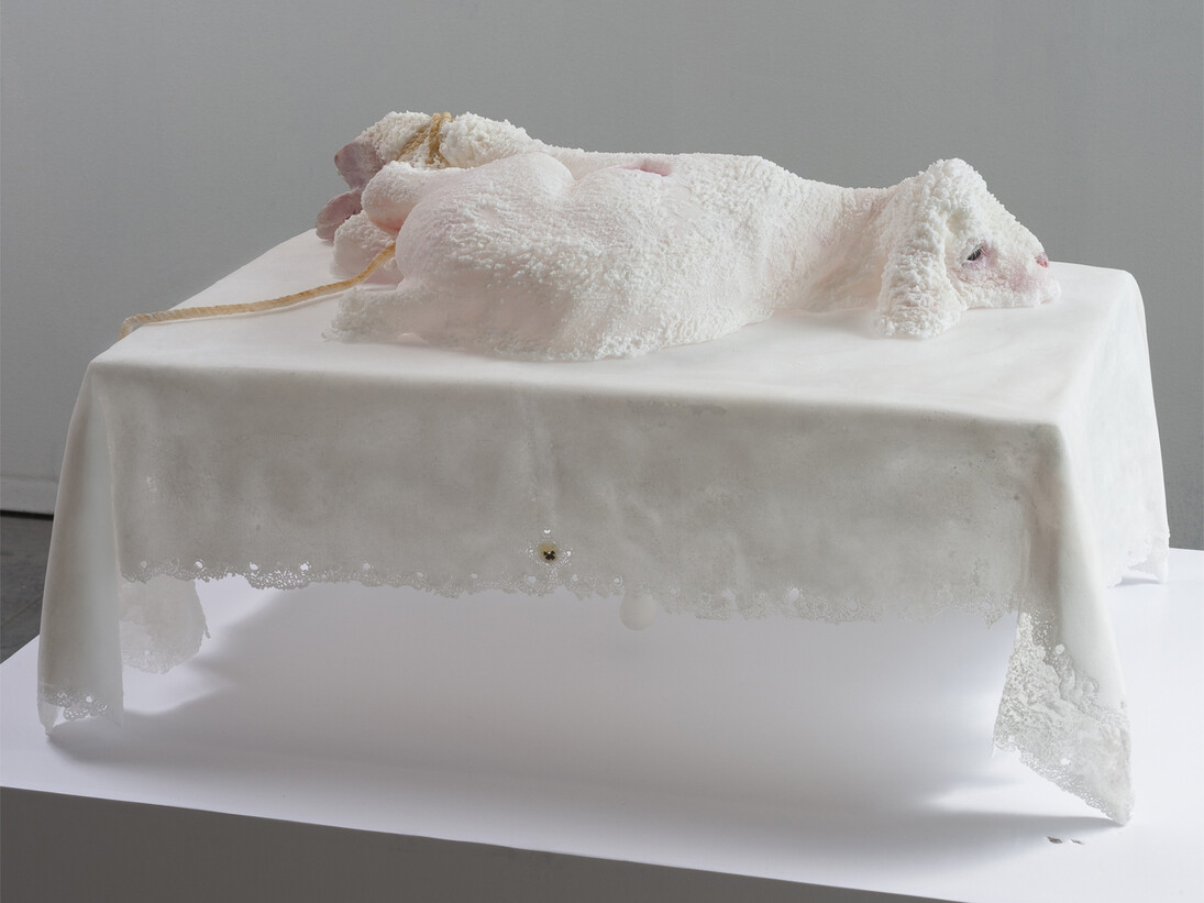 Tom LaDuke, Pansy, 2014, salt, flower pedals, 15 x 29 x 20 inches