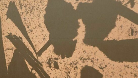 Daniel Lefcourt, Passive Surplus, 2011, Detail, Courtesy of Campoli Presti, London / Paris