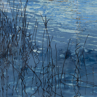 Hernán Salamanco, Laguna mental (detalle), 2025. Cortesía de Herlitzka & Co