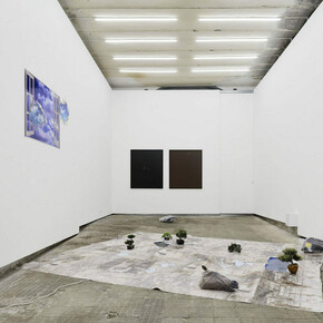 Catherine Biocca, Exhibition view. Courtesy of Frutta