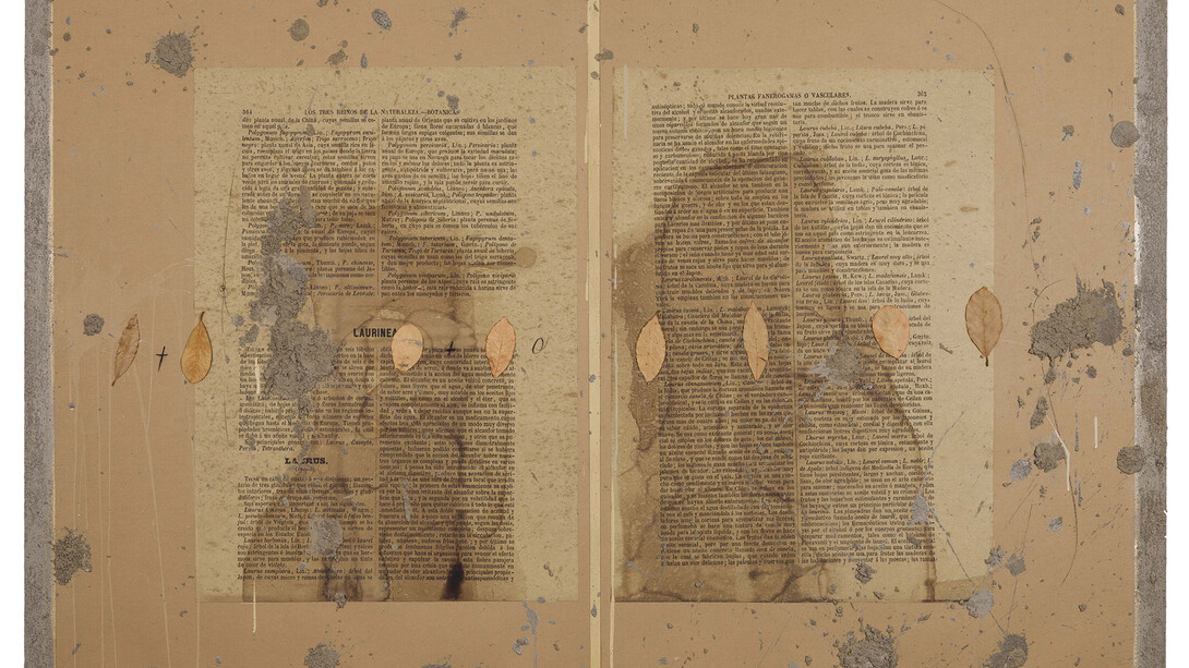 Courtesy Ricardo Brey & Galerie Nathalie Obadia Paris / Brussels © We Document Art