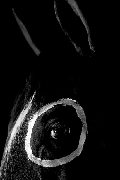 Foto de Flor Garduño