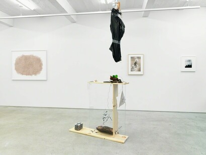 The Garden of Forking Paths, Exhibition view. Courtesy of Magenta Plains