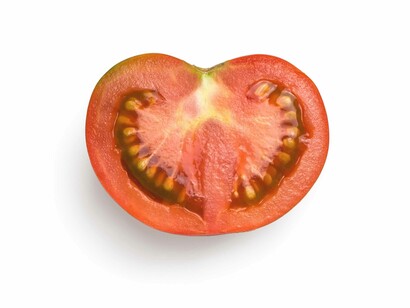 Il pomodoro, astro della terra
