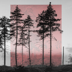 Visions of Nature. Courtesy of Kunst Haus Wien
