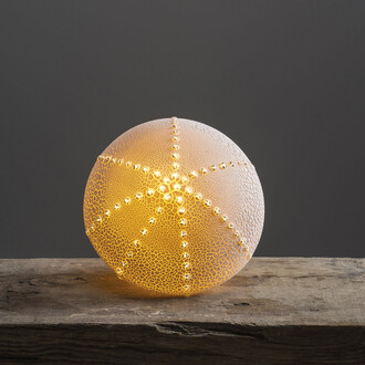 Amy Cooper, Sea urchin light