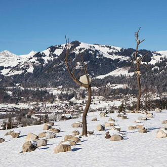 Giuseppe Penone. Courtesy of  Galerie Gagosian