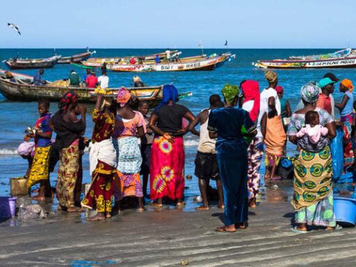 Sectores primarios como la pesca dan de comer a mucha gente en Gambia