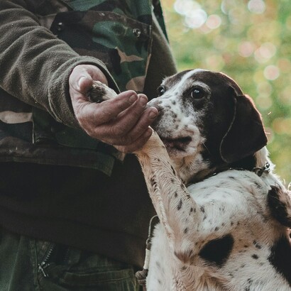 Nel XVII secolo, il tartufo raggiunse l'apice della sua fama in Francia, alla corte di Luigi XIV, che lo considerava una delle sue prelibatezze preferite