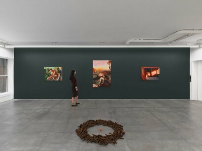 Alannah Farrell, Solastalgia, exhibition view. Courtesy of Anat Ebgi
