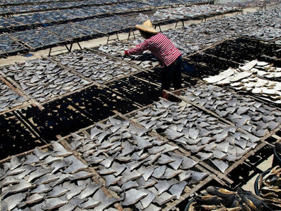 Canadians, including those in the Chinese community as well as fishermen, have expressed support for an import ban