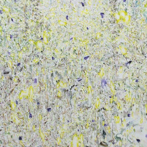 Taishi Hatayama. Courtesy of Sezon Art Gallery