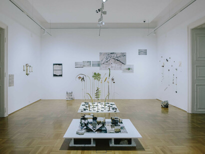 Verschiedene Künstler, Habitat Graz, Ausstellungsansicht. Mit freundlicher Genehmigung des Graz Museums