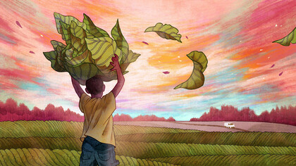 The Origin Story of Migrant Rights  