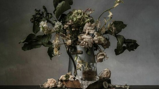 Christopher Broadbent, Flowers IV , 2012, fotografia, 38 x 55 cm