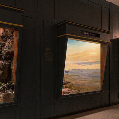 Art of the Diorama. Courtesy of Carnegie Museum of Natural History