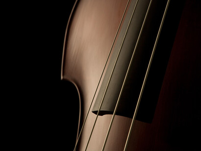 Instrumentos de cuerdas