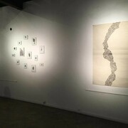 Octagonal, Joana Sá