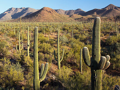 Entre varias historias que tuve la suerte de conocer, hay algunas que por su carácter «oculto» dan testimonio de una idiosincrasia que pervive entre rascacielos y modernidad