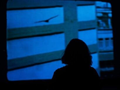 Luiz Roque, Urubu, vue d'exposition. Avec l'aimable autorisation de la Pinacoteca