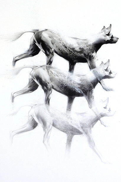 Li-Hill, Constellations, (Wild Dog – Lycaon pictus), Graphite and aerosol on paper, 30in x 22in (76 x 56cm)