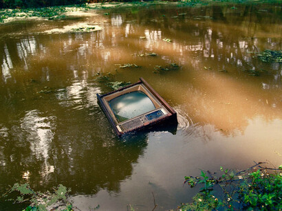 William K. Greiner, TV in bayou 1993, 1993. Courtesy of Georgia Museum of Art