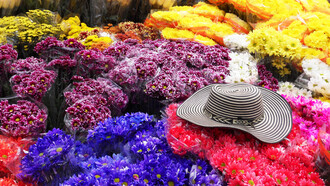 Flores amarillas azules y rojas con un sombrero encima, representando los colores de la bandera de Colombia y Venezuela