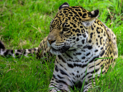 Ecotourism promises a huge boom for job growth