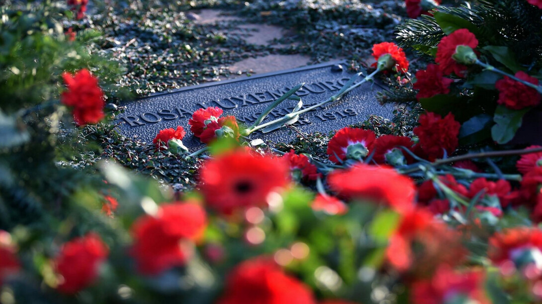 La tomba di Rosa Luxembourg