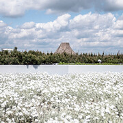 Garden on the rooftop. Courtesy of Copernicus Science Centre 
