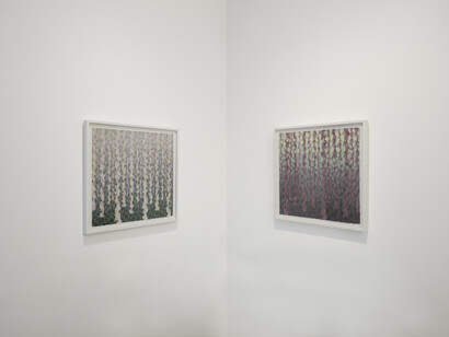 Mary Shah and Rachael Wren, In the ecstasy of the sun, exhibition view. Courtesy of Rick Wester Fine Art