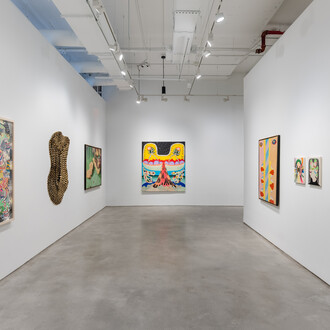 Thiago Barbalho and Antonio Henrique Amaral, Organic fictions, exhibition view. Courtesy of Galeria Nara Roesler