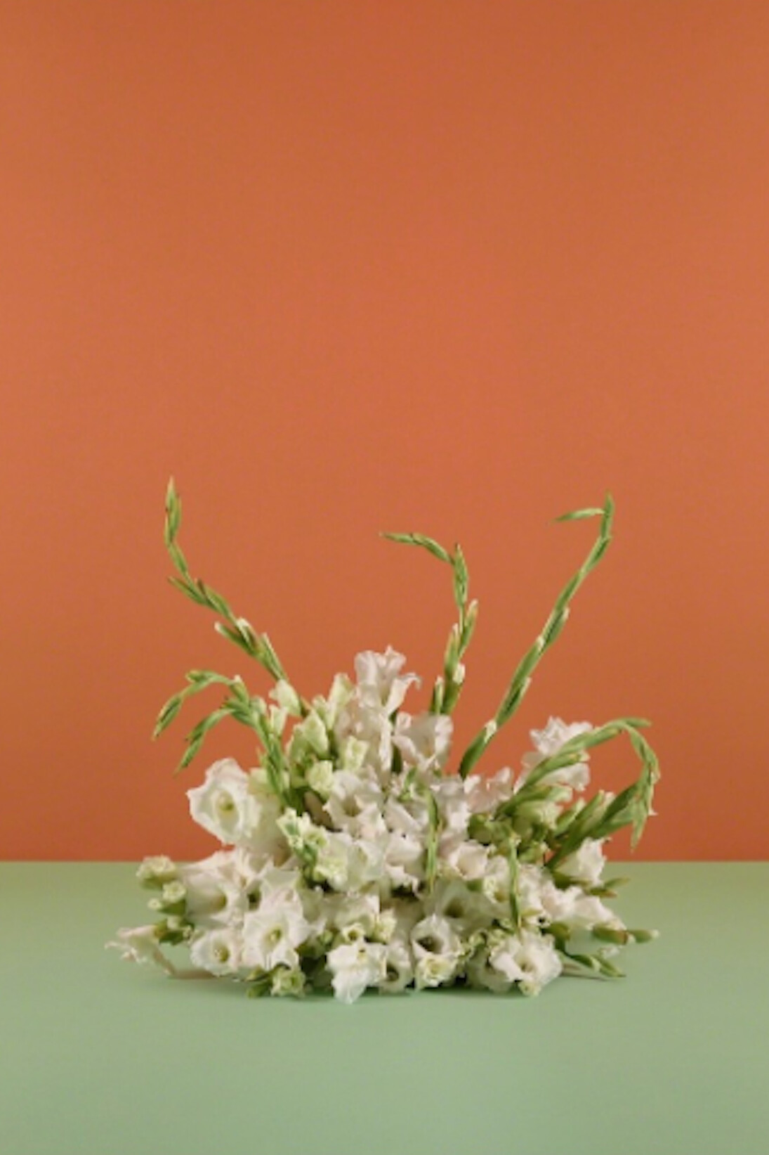 Agreement for cooperation on China’s Beidou Navigation Satellite System in Pakistan
Aiwan-e-Sadr, Islamabad, Pakistan, May 22, 2013, Taryn Simon, Paperwork and the Will of Capital, 2015, Archival inkjet print and text on archival herbarium paper in mahogany frame
85 x 73 1/4 inches (215.9 x 186.1 cm)
© Taryn Simon. Courtesy Gagosian.
