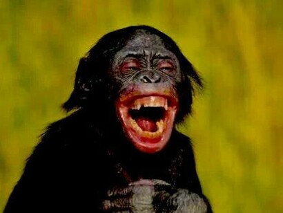 ¡Me troncho de risa!